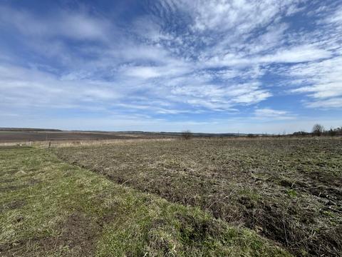 ділянка за адресою с. Лісові Гринівці, 