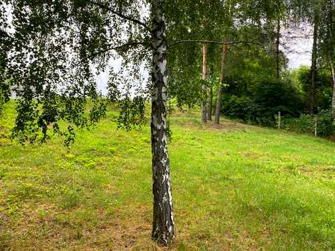 участок по адресу Рассвет