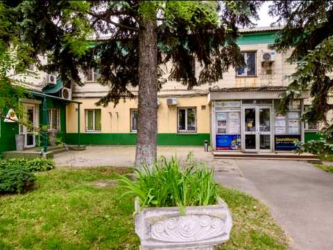 комерційна за адресою Гетьмана Павла Скоропадського вул. (Толстого), 63