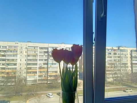 квартира за адресою Грушевського, 17/1