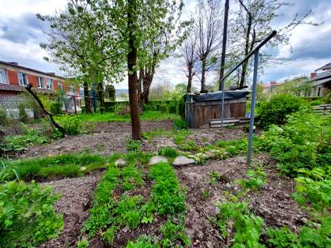 квартира за адресою Володимира Великого вул., 14