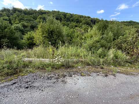 участок по адресу Центральна