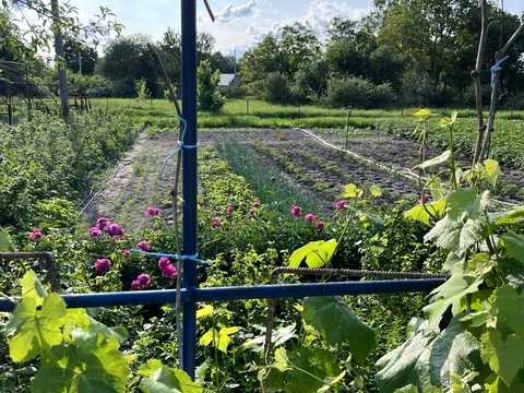 будинок за адресою Гайова