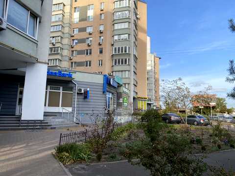 комерційна за адресою Раїси Окіпної вул., 4-А