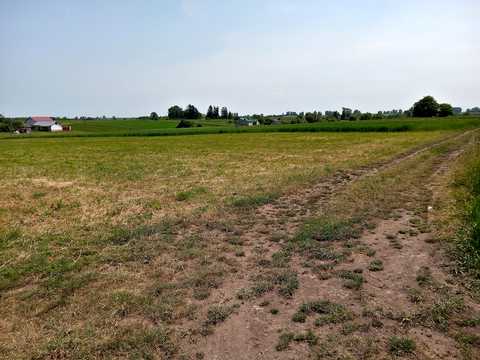 ділянка за адресою Нове село