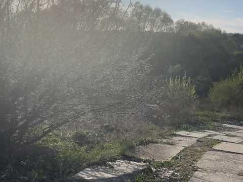 ділянка за адресою Провулок Зоряний