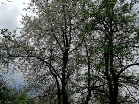 участок по адресу Холодная ул.