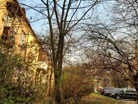квартира за адресою Родини Глаголєвих вул. (Академіка Грекова), 5
