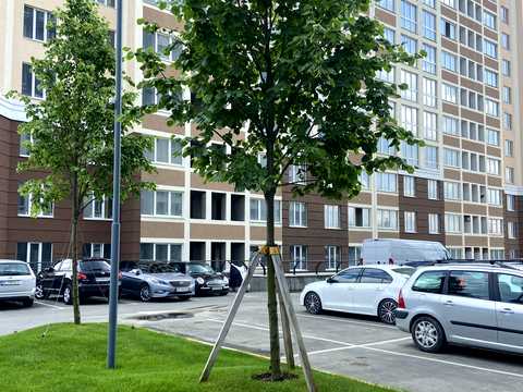 квартира по адресу Университетская ул., 1-Б