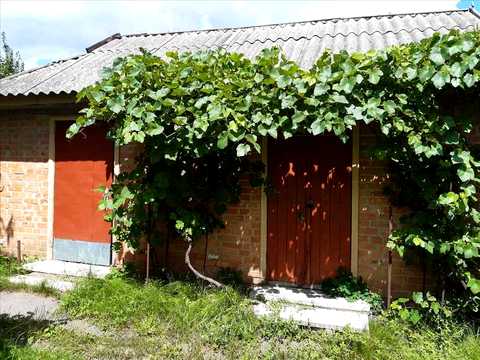 будинок за адресою центральна, 1
