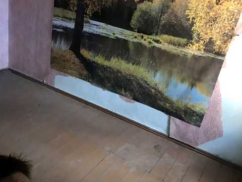 дом по адресу Каштановая ул. (Щорса), 25