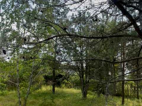 участок по адресу Старокиевская ул.