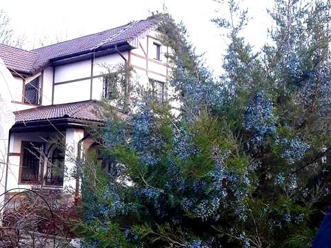 будинок за адресою Люботин, Люботин