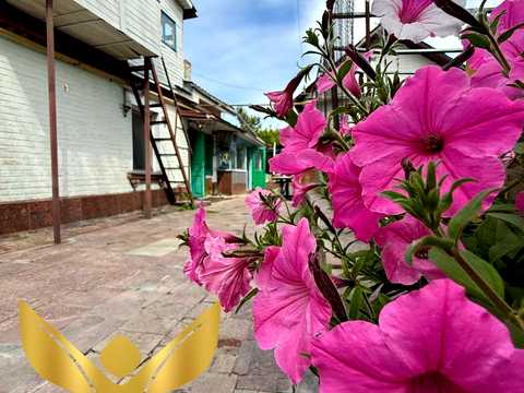 будинок за адресою Архітектора Паученка вул. (Леніна), 135