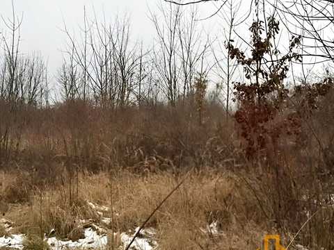 ділянка за адресою Тюльпанова