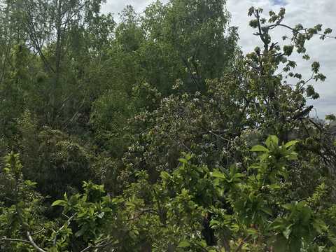 будинок за адресою Академіка Вернадського вул.