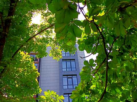 квартира по адресу Космонавтов ул., 23