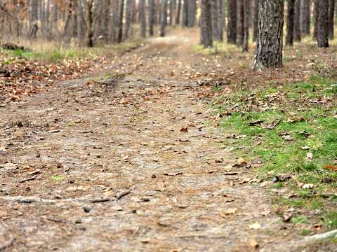 ділянка за адресою Львівська, 36