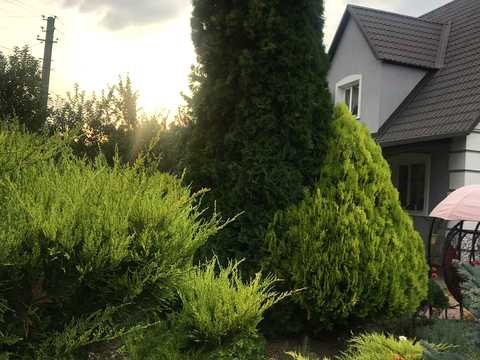дом по адресу Соборна