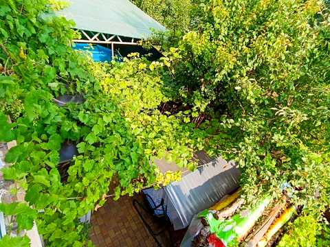 будинок за адресою Центральна вул.