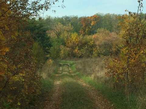 ділянка за адресою переулок Шкільний, 14