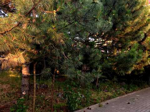 будинок за адресою Провулок Дослідний