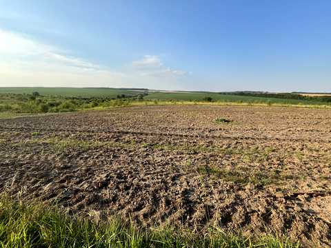 ділянка за адресою с. Лісові Гринівці,