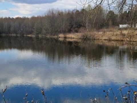 ділянка за адресою с. Гореничі, Польова вул.
