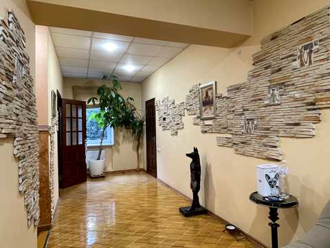 дом по адресу Костанди ул.