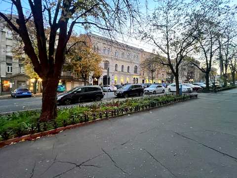 комерційна за адресою Одеса, Ніни Строкатої вул. (Буніна), 16