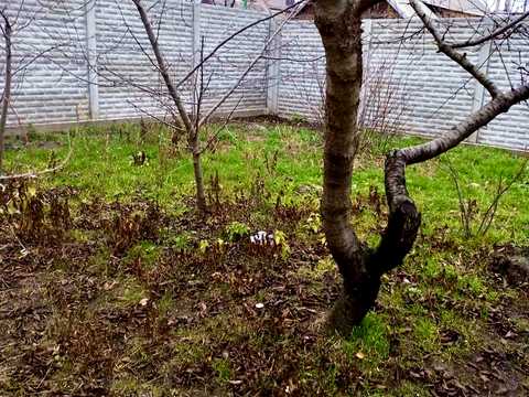 дом по адресу Верещагина ул., 9