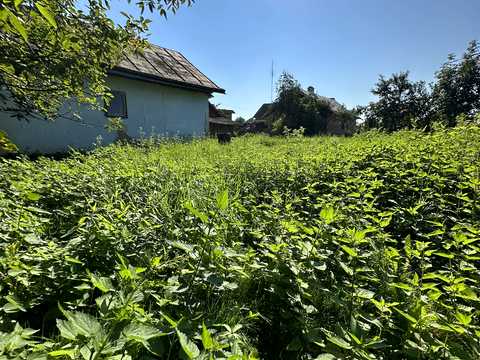 будинок за адресою Рошкевича