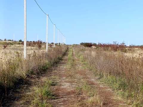 ділянка за адресою Новий двір
