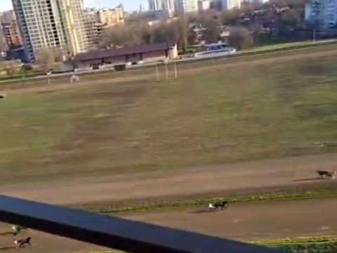 квартира за адресою Краснова вул., 3/61