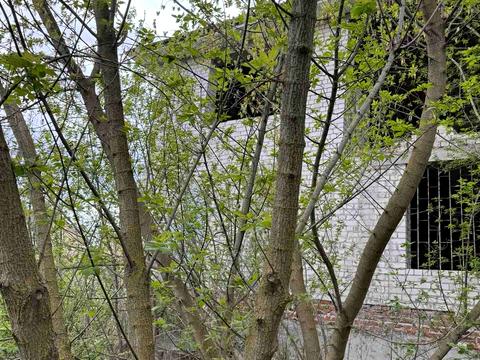будинок за адресою с. Кобилянка, Речная