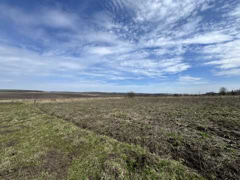 ділянка за адресою с. Лісові Гринівці, 