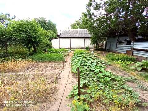 дом по адресу Любомира Гузара ул.