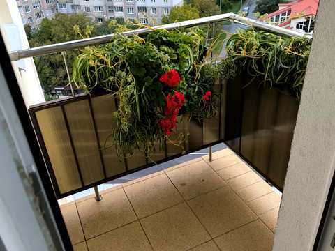 квартира за адресою Панаса Мирного вул., 37/3