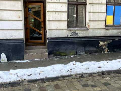 комерційна за адресою Нечуя Левицького, 7