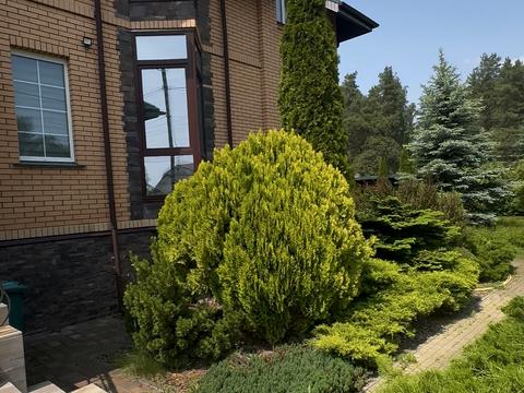 дом по адресу Лесі Українки ул., 77