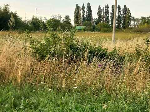 ділянка за адресою смт. Рогань, Ростовська, 35