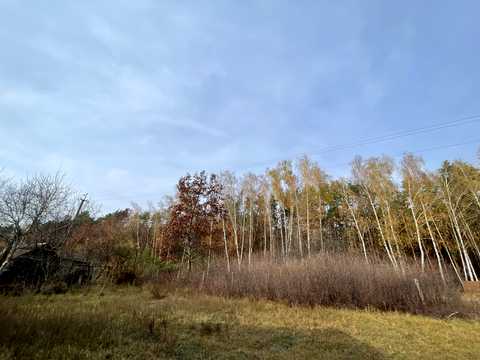 участок по адресу 8 Лесная, 9