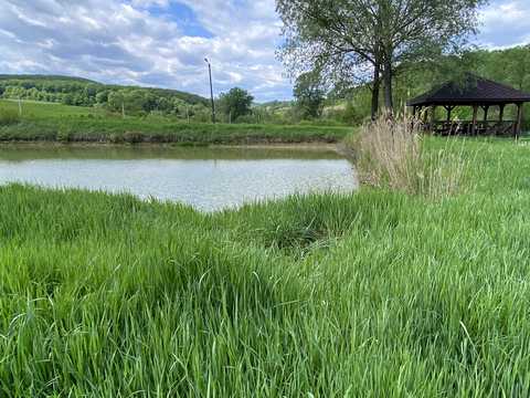 ділянка за адресою с. Тисовець, Пантівська