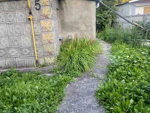 ділянка за адресою Дмитра Іваха вул. (Жванецька), 5