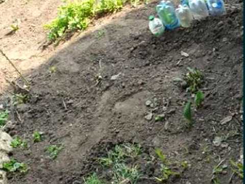 будинок за адресою Торгова вул., 12