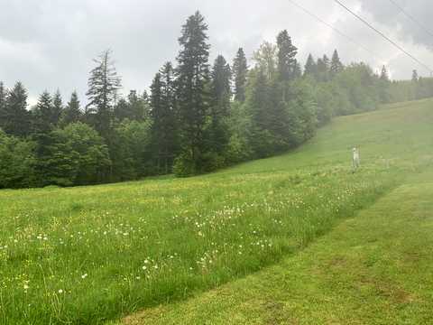 комерційна за адресою Центральна, 50