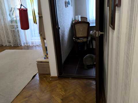 квартира по адресу Вацлава Гавела бульв. (Івана Лепсе), 79-Г