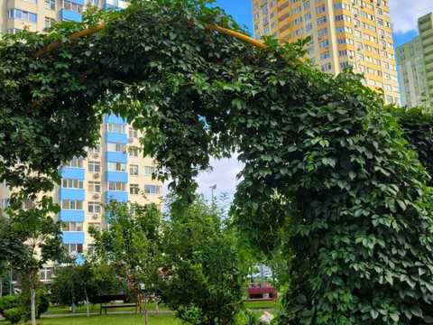 квартира за адресою Воскресенська вул., 18