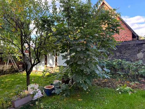 дом по адресу Малокаменная ул.