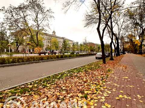 коммерческая по адресу Маяковского просп., 7